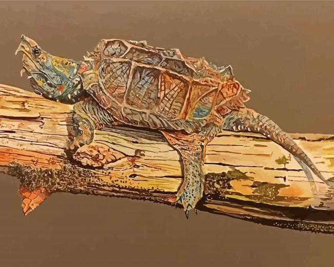 Snapping Turtle paint by numbers