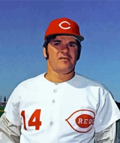 baseball player Pete rose paint by number