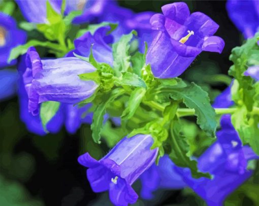 canterbury bells purple flower paint by numbers