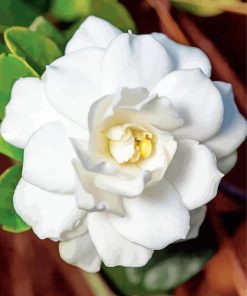 close up Gardenia paint by numbers