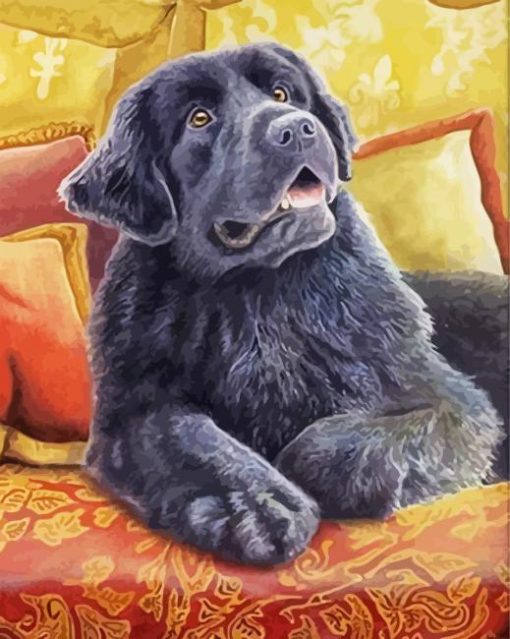 Cute Newfoundland Dog paint by numbers