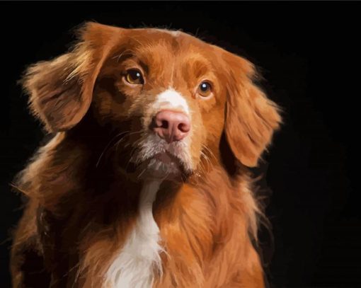 Adorable Nova Scotia Duck Tolling Retriever paint by numbers