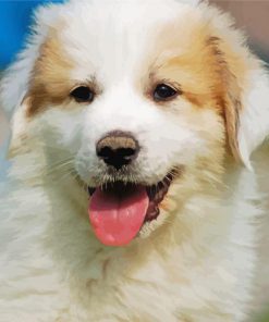Great Pyrenees Puppy paint by numbers