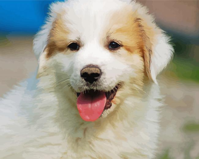 Great Pyrenees Puppy paint by numbers