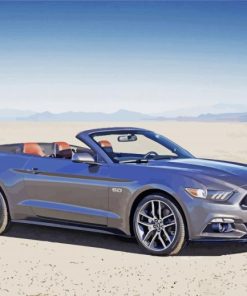 Grey Mustang Convertible paint by numbers