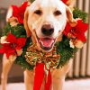 Happy Dog With Wreath Paint by numbers