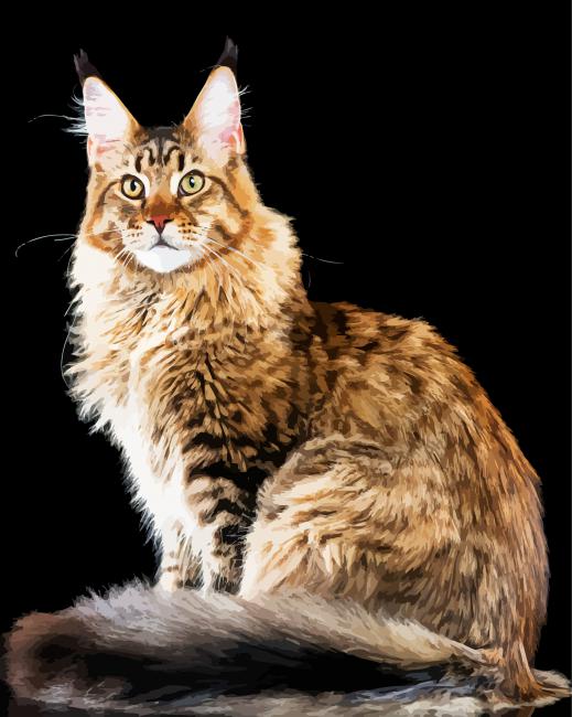 Maine Coon Cat Breed paint by numbers