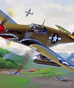 P52 Mustang Aircraft Paint by numbers