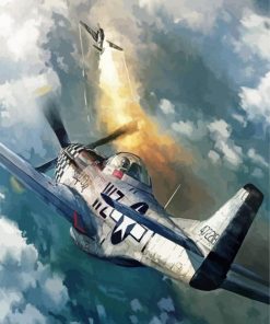 The P52 Mustang Plane paint by numbers