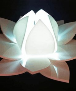 White Lotus Light paint by numbers