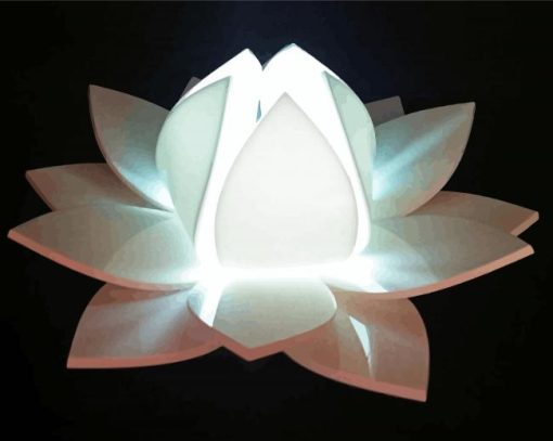 White Lotus Light paint by numbers