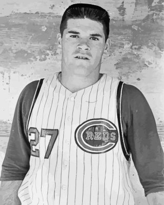 young Pete rose paint by number