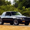 1986 Buick Grand National paint by numbers