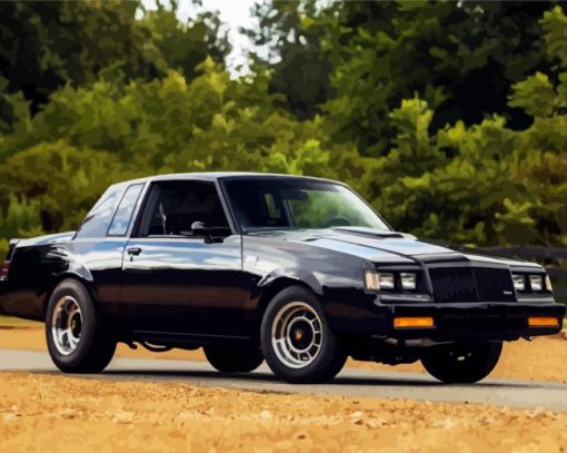 1986 Buick Grand National paint by numbers