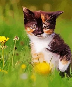 A Cat With A Flower paint by numbers