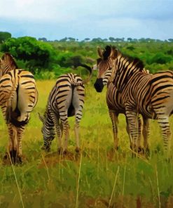 African Grasslands Jungle paint by numbers