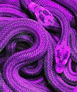 Bluish Purple Snake Art paint by numbers