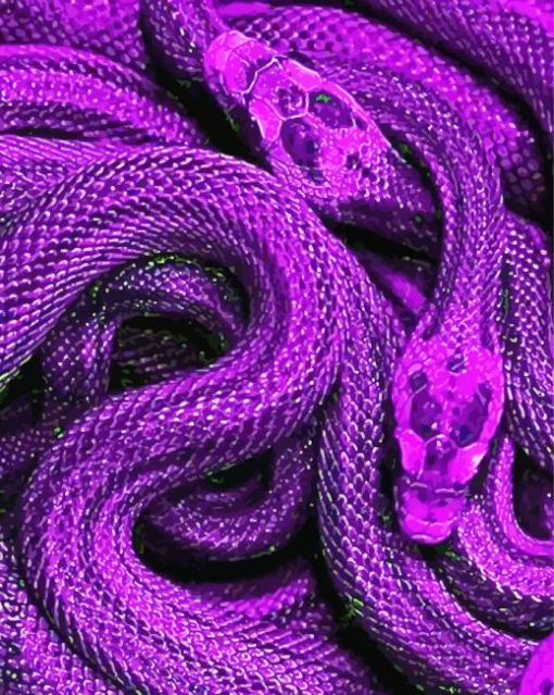 Bluish Purple Snake Art paint by numbers