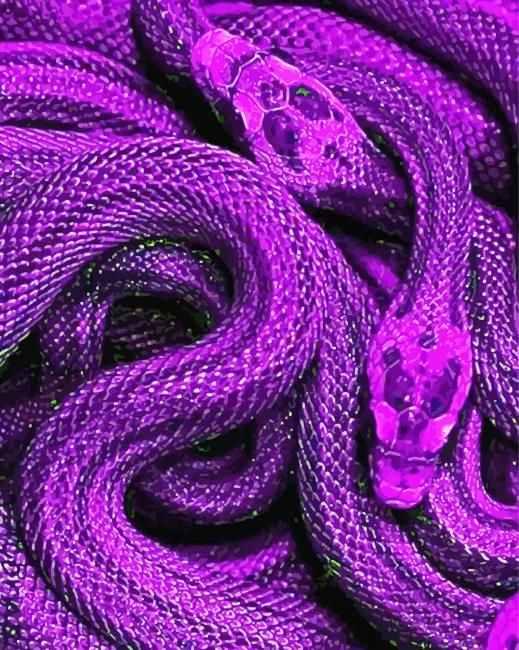Bluish Purple Snake Art – Paint By Number - Num Paint Kit