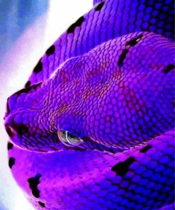 Bluish Purple Snake Head paint by numbers