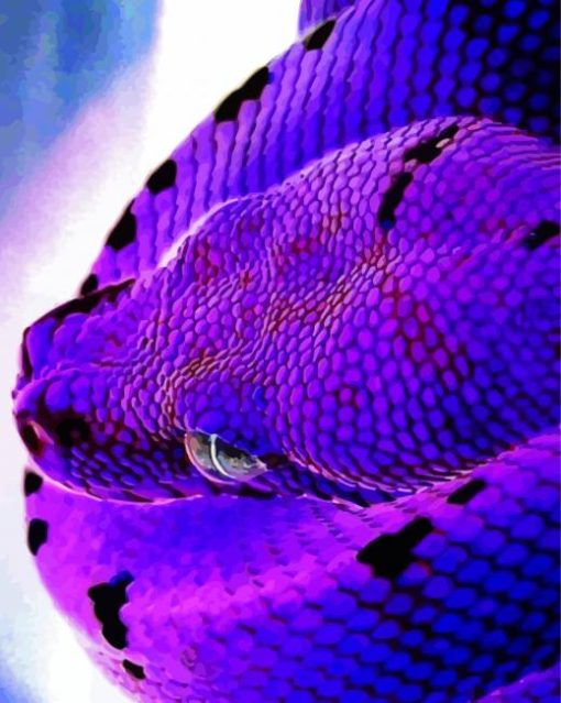 Bluish Purple Snake Head paint by numbers