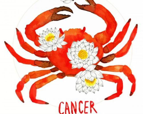 Cancer Zodiac paint by numbers