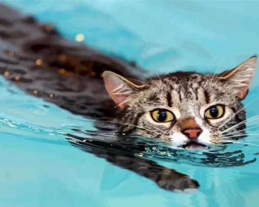 Cat In Water paint by numbers