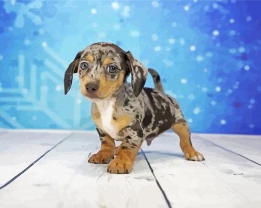 Chiweenie Puppy paint by numbers