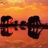 Chobe National Park Botswana paint by numbers