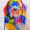 Colorful Newfoundland Dog paint by numbers