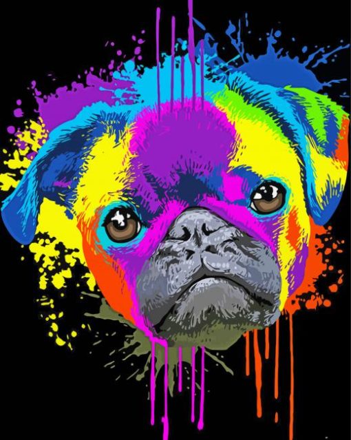 Colorful Splash Pug Dog paint by numbers