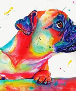 Colorful Splash Pug