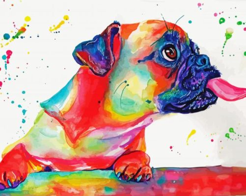 Colorful Splash Pug paint by numbers