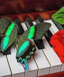 Butterflly And Red Rose On Piano paint by numbers