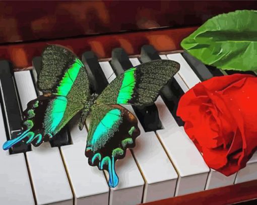 Butterflly And Red Rose On Piano paint by numbers