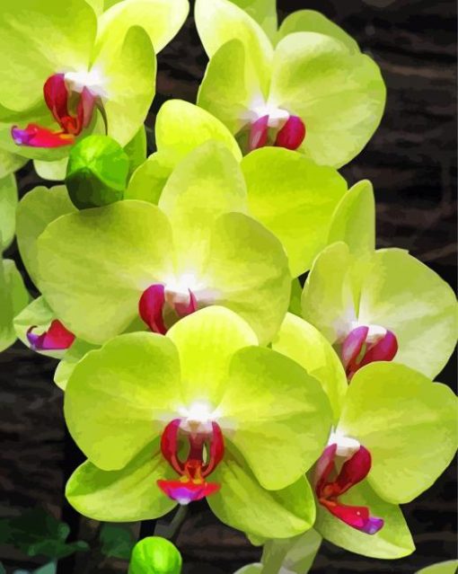 Green Orchid Plants paint by numbers