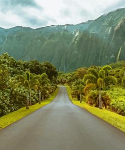Hawaii Road At Daytime paint by numbers