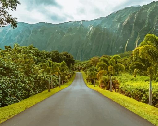 Hawaii Road At Daytime paint by numbers