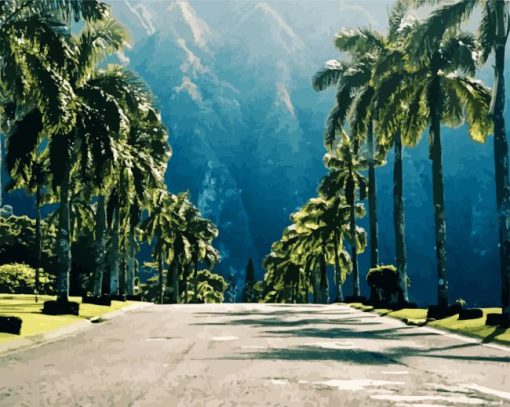 Hawaii Road paint by numbers