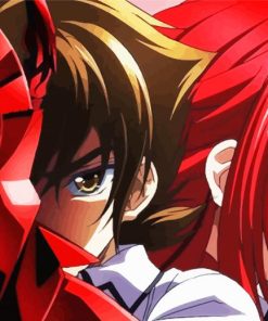 High School DxD paint by numbers