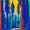 Illustration Redwoods Park Paint by numbers