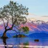 New Zealand Lake Wanaka paint by numbers