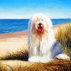 Old english sheepdog at the beach paint by number