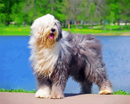 Old english sheepdog dog paint by numbers