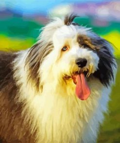 Old english sheepdog paint by number