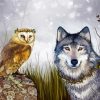 Owl Bird And Wolf paint by numbers