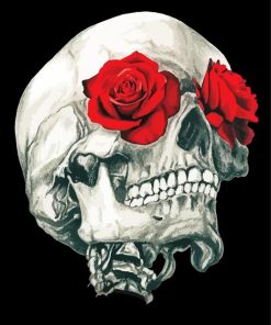Roses And Skull paint by numbers