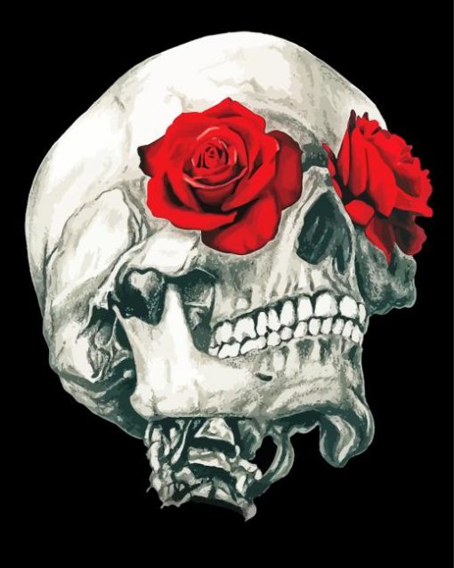 Roses And Skull paint by numbers