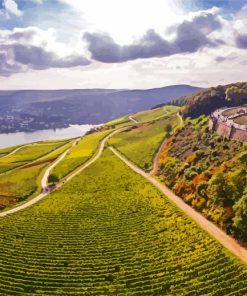 Rudesheim Landscapes paint by numbers