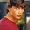 Smallville Character Paint by numbers